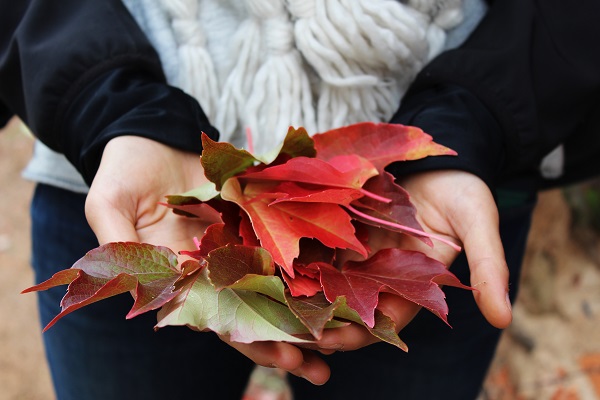 Woman holding leaves - fall specials
