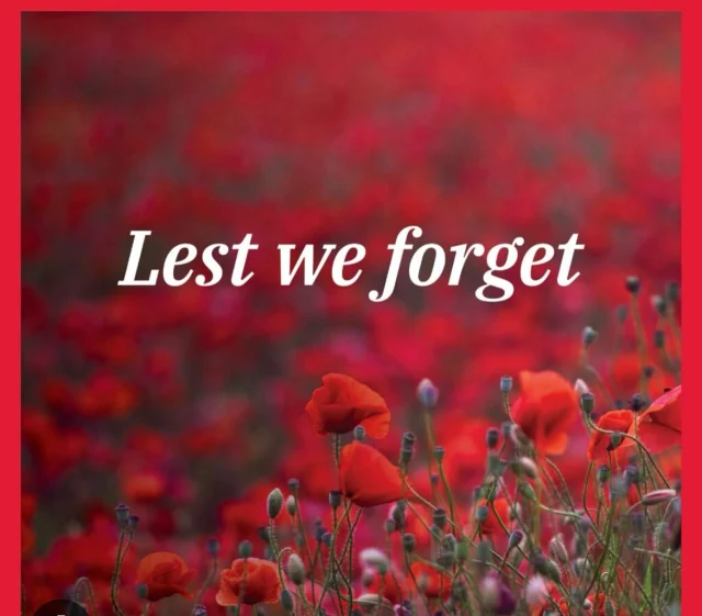 Honoring the brave souls who paved the way for our freedom, their memories forever etched in our hearts. 🌺 #RemembranceDay #lestweforget❤️